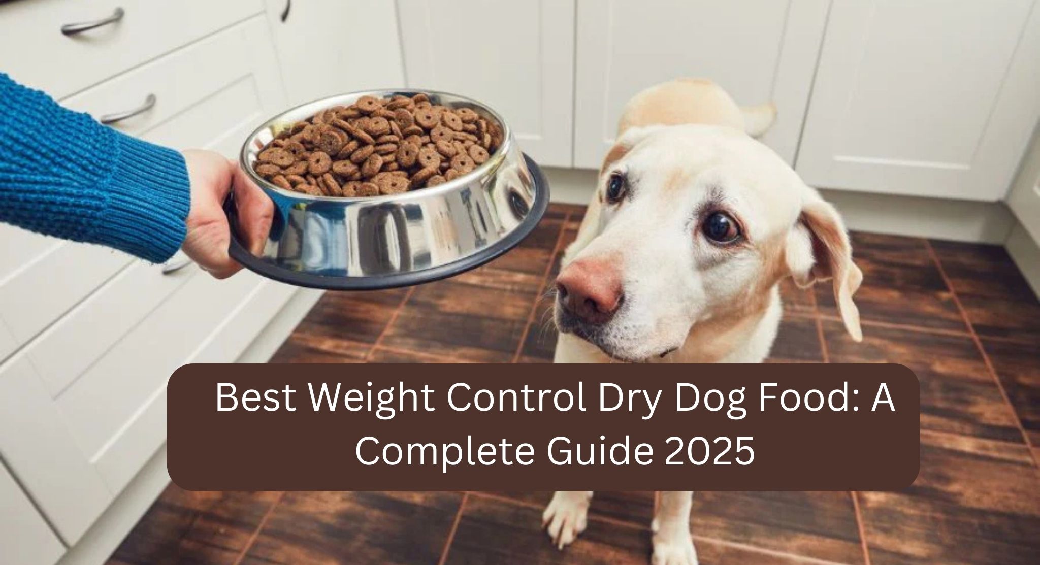 You are currently viewing Best Weight Control Dry Dog Food: A Complete Guide 2025
