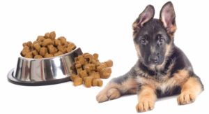 Read more about the article Best Dog Food for Shepherd Puppies: A Complete Guide 2025
