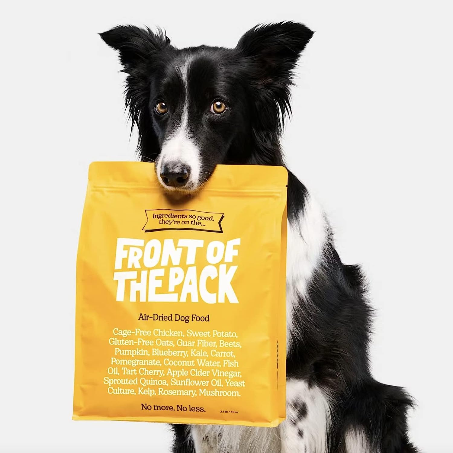 You are currently viewing The Best Air-Dried Dog Food: A Complete Guide 2024