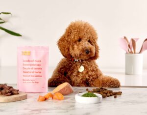 Read more about the article Best Dog Food for Toy Poodle Puppies: A Complete Guide 2025
