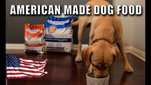 Read more about the article Best American Made Dog Food: Keeping Your Canine Healthy 2025