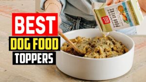 Read more about the article Best Dog Food Toppers: A Complete Guide 2024