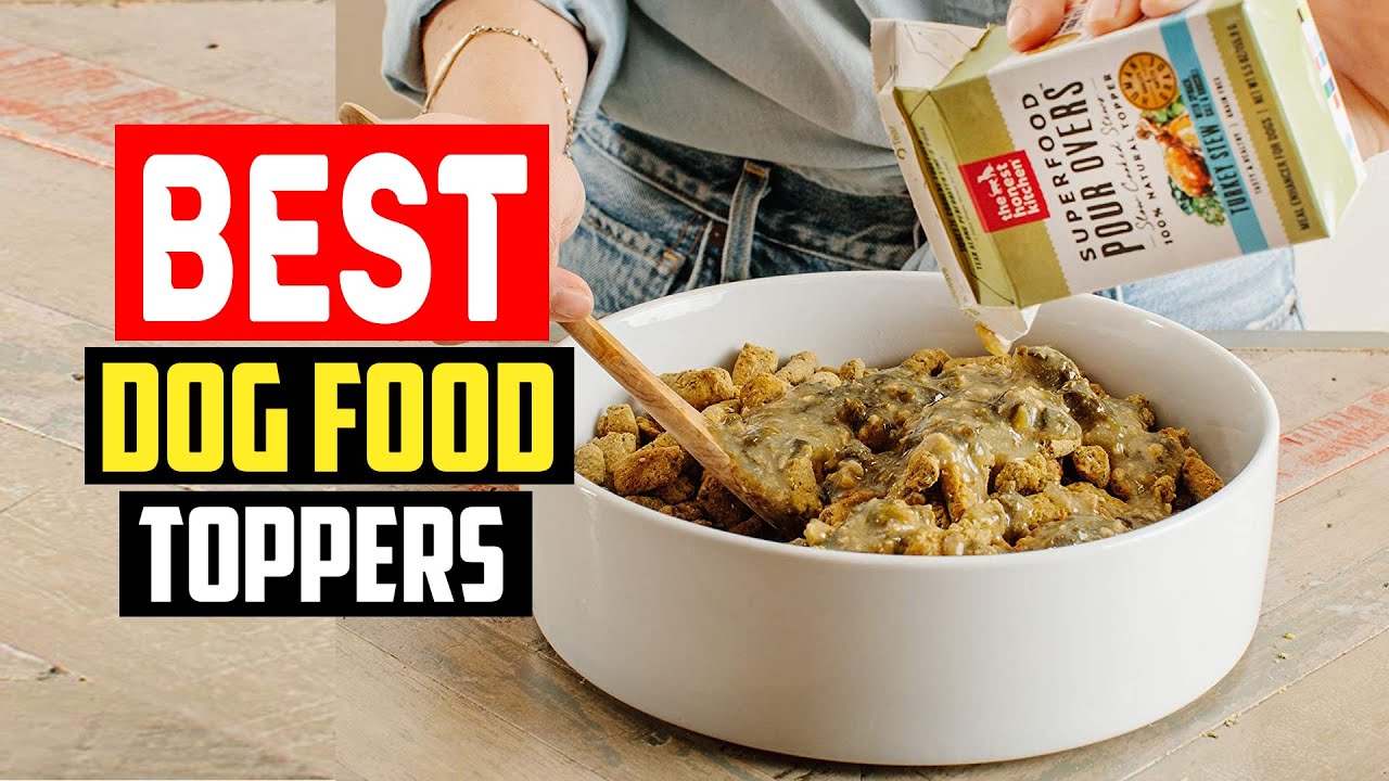 You are currently viewing Best Dog Food Toppers: A Complete Guide 2024