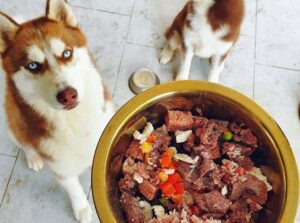 Read more about the article Best Husky Food: A Complete Guide